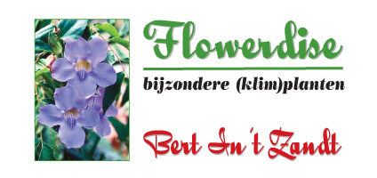 Flowerdise Bijzonder Klimplanten